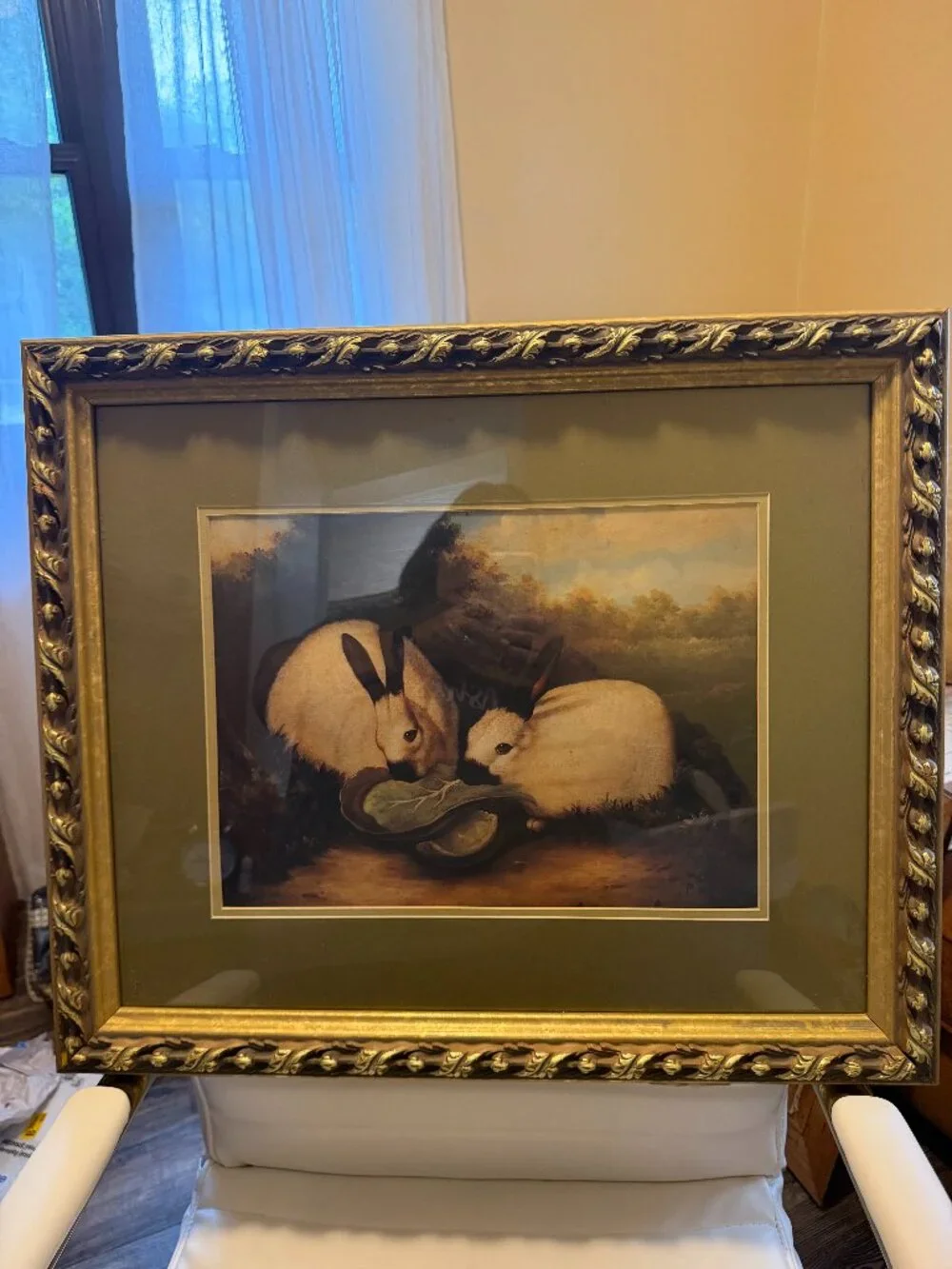 Vintage, Framed, P. Rolence Himalayan Rabbits Eating Cabbage-Beautiful!